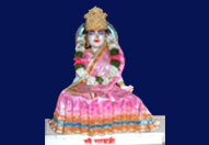 श्री वार्ष्णेय मंदिर के श्रीविग्रह दर्शन 14