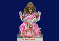 श्री वार्ष्णेय मंदिर के श्रीविग्रह दर्शन 4