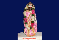 श्री वार्ष्णेय मंदिर के श्रीविग्रह दर्शन 5