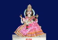 श्री वार्ष्णेय मंदिर के श्रीविग्रह दर्शन 8